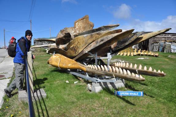 Visita a um pequeno museu de baleias, em Port Stanley, a capital de Falkland